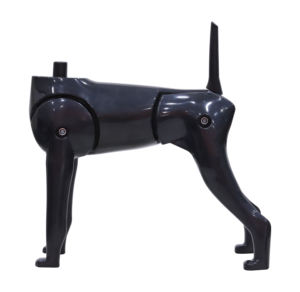 Model Hond Nieuw Model 3-In-1 Mannequin Hondenhaar Verzorgingstool Full Body Huisdiermodel Educatieve Hond - Product Image 6