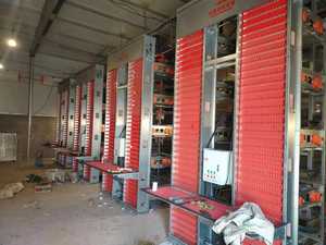 <span class=keywords><strong>Cage</strong></span> de capacité 250 oiseaux couche kenya cages à poulets <span class=keywords><strong>d</strong></span>'<span class=keywords><strong>occasion</strong></span> pour 2000 oiseaux petites fermes - Product Image 3