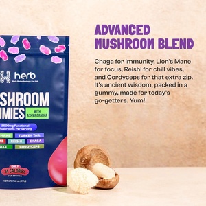 เยลลี่เห็ดแบบ OEM/ODM แบรนด์ส่วนตัว ออกแบบตามสั่ง เสริมภูมิคุ้มกัน เพิ่มพลังงาน เยลลี่เห็ด - Product Image 5