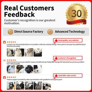 रासायनिक उद्योग में थोड़ा घर्षण स्लाइस के लिए पीटफ डायाफ्राम के साथ gk 1 "पॉलीप्रोपाइलीन न्यूमेटिक डायाफ्राम पंप - Product Image 6