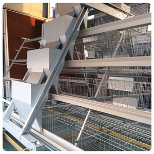 Automático 4 niveles AType Farm Factory Suministrado Jaulas <span class=keywords><strong>de</strong></span> <span class=keywords><strong>pollo</strong></span> Máquina <span class=keywords><strong>de</strong></span> capa <span class=keywords><strong>de</strong></span> huevo Huevo <span class=keywords><strong>Pollo</strong></span> para granja - Product Image 5