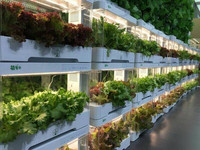 Systèmes de culture hydroponique NFT pour légumes en intérieur, jardin vertical domestique avec lumière LED