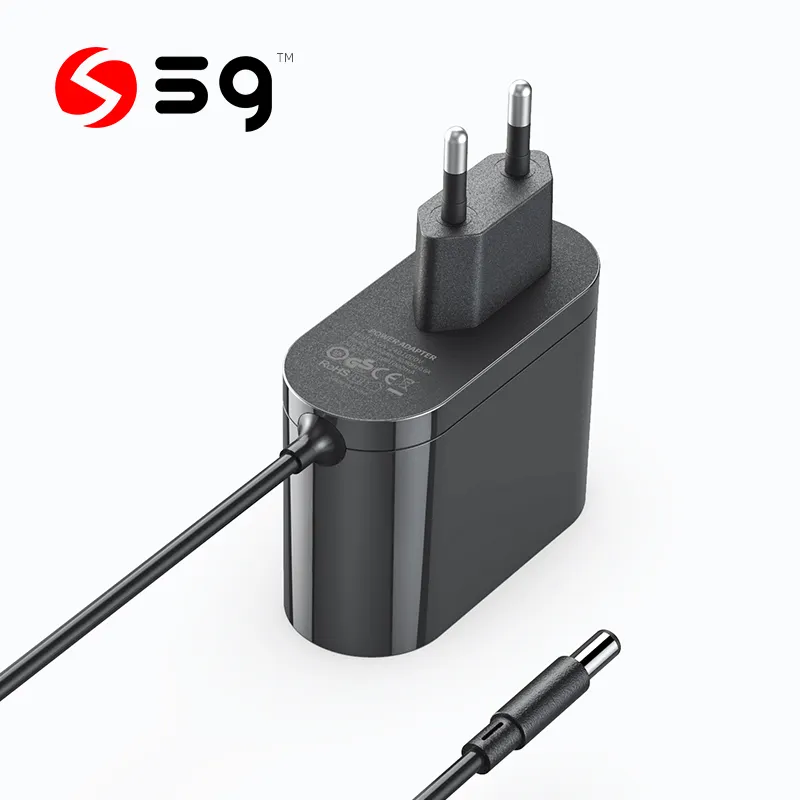 European standard 12V 2A CE/GS certified high quality power adapter 24W Supply adapter Ac dc adapter