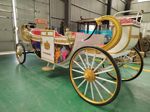 Chariot de mariage royal électrique économique à vendre pour le tourisme et les transports spéciaux - Product Image 6