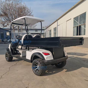 Voiturettes de golf électriques de qualité supérieure pour 2 personnes, vente directe d'usine, idéales pour les zones touristiques, à prix abordable - Product Image 1