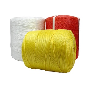 Tie <span class=keywords><strong>Tomato</strong></span> <span class=keywords><strong>Twine</strong></span> Dây Đóng Gói PP Đa Năng Polypropylene Baler <span class=keywords><strong>Twine</strong></span> Cho Bó Rau Nông Nghiệp - Product Image 1