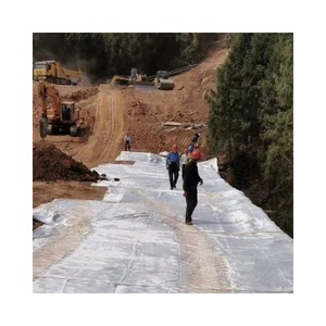 Tissé Polypropylène Polyester Non Tissé Géotextile Geo Grands Sacs <span class=keywords><strong>De</strong></span> <span class=keywords><strong>Sable</strong></span>/Geobag Prix - Product Image 6