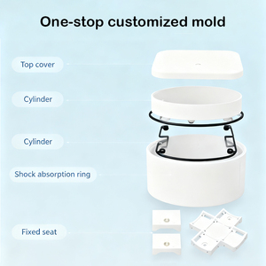 تصنيع قوالب بلاستيكية مخصصة، حقن البلاستيك ABS، قطع قوالب الحقن من ABS و PVC و PA و PP والمطاط و POM - Product Image 5