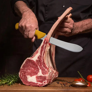 Cuchillo profesional rojo verde amarillo <span class=keywords><strong>para</strong></span> desollar Hoja de acero inoxidable de 8 pulgadas Cuchillo de carnicero Mango de PP - Product Image 4