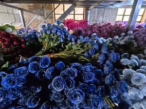 Mini Tulipán Artificial de Tallo Único con Luz LED <span class=keywords><strong>para</strong></span> Graduación y Halloween - Uso Interior/Exterior - Product Image 6