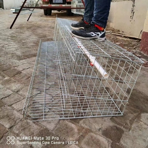 Jaulas para gallinas ponedoras de <span class=keywords><strong>segunda</strong></span> <span class=keywords><strong>mano</strong></span>, capacidad para 96 aves, para 2000 aves, para pequeñas granjas, Kenia - Product Image 4