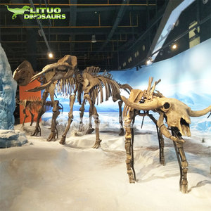 Kích thước thực Mô hình bộ xương động vật khổng lồ để bán - Product Image 6