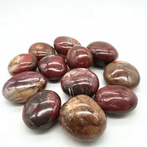 Natural crystal fossilized wood red petrified wood fossil stone palm stone