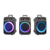 Mini enceinte amplifiée sans fil de 8 pouces, portable, active, pour l'extérieur