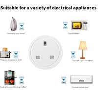Vente directe usine OEM ODM FY41 Kit de prise intelligente UK compatible avec le micrologiciel Tasmota préinstallé, Wi-Fi activé, en matériau ABS