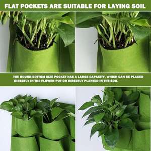 Sistema de pared <span class=keywords><strong>Vertical</strong></span> para jardín, macetas verdes para plantas - Product Image 6