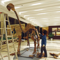 Réplica de Esqueleto de Dinosaurio de Metal a Tamaño Real para Parques de Aventuras y Centros Comerciales