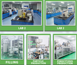 Tabletas Veganas de Biotina de Alta Calidad de Marca Privada, 10000 UI, 365 <span class=keywords><strong>D</strong></span>ías de Apoyo para Cabello, Uñas y Piel, para Adultos, No Apto para Mujeres Embarazadas, en Bolsa - Product Image 4