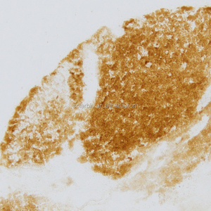 Reactivo <span class=keywords><strong>de</strong></span> Laboratorio <span class=keywords><strong>de</strong></span> Alta Calidad Solarbio, Acetilcolinesterasa (<span class=keywords><strong>Sulfuro</strong></span> <span class=keywords><strong>de</strong></span> Plomo y <span class=keywords><strong>Cobre</strong></span>, Colina) para Investigación Científica - Product Image 2