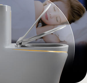 Modern Luxury Luxury All-in-One Western <strong>Bathroom</strong> Wc Water Closet Porcelain Gold White Colored Toilets for <strong>Bathroom</strong> - Product Image 2