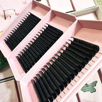 Extensions de cils individuelles en cachemire noir mat de qualité supérieure, 0,03 0,05 0,07, extensions de cils en soie de vison coréenne, plateaux