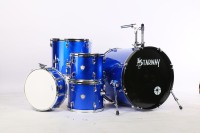 Nouveaux produits intéressants Starway D10 Percussion Instrument de musique professionnel enfants batterie ensemble