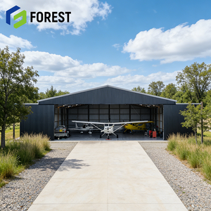 Estructura de Acero para Hangar de Aviones de Alta Resistencia, Diseño de Marco de Portal para Aviones Comerciales, Precio Competitivo - Product Image 1