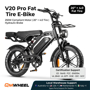 Vélo électrique tout-terrain QMWHEEL OEM ODM pour adultes, 20 pouces, deux places, avec livraison depuis les entrepôts d'Europe, d'Italie et d'Australie - Product Image 1