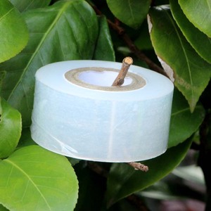 Grafting Film White 3Cm PE Stretch Film For Fruit <b>Trees</b> Garden Use - Product Image 2