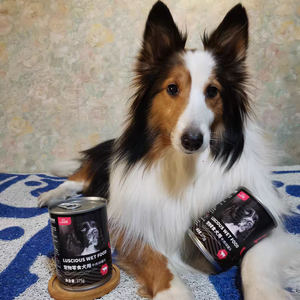 Nhà Máy Bán Buôn 375G Lớn Lon Thịt Bò Và Gà Hương Vị 6 Lon/Hộp Con Chó Ăn Nhẹ Ướt Thực Phẩm Thịt Khối Và Keo - Product Image 3