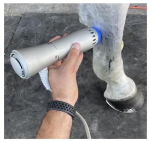 Mesin Terapi Gelombang Kejut Hewan |   Perangkat ESWT Radial untuk Rehabilitasi Hewan - Product Image 5