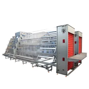 A Type Automatic Poultry Farm Equipment Laying Hens Layer Chicken Cage