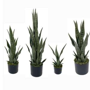 <span class=keywords><strong>ต้นไม้</strong></span><span class=keywords><strong>งู</strong></span>แบบกำหนดเองสำหรับบอนไซ - Product Image 4