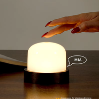 Nouvelle lampe de chevet LED portable moderne et compacte pour la décoration, éclairage de table, chambre à coucher, salon, camping, lampe LED rechargeable