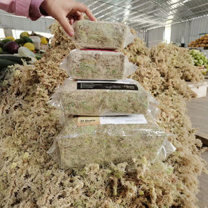 Musgo Sphagnum bien drenado de nutrientes para Venus <span class=keywords><strong>Atrapamoscas</strong></span> y crecimiento de plantas carnívoras Propagación suculenta y desarrollo de raíces - Product Image 6