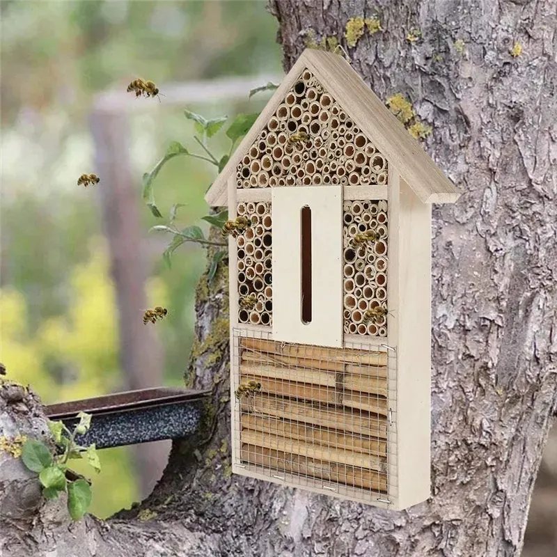 Holz Insektenaben-Schmetterlingshaus Natürliche Elderberry-Baby Hotel Bienenkasten Gartengerät Dekoration Nester Box Imkereibäude