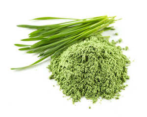 High Quality Food Grade 99% Pure Wheat Grass Powder Manufacturer Supply Fine Green Powder for Food Beverage Use <b>Smoothie</b> <b>Bottle</b> - Product Image 3