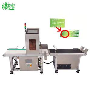 Machine d'inspection par vision IA pour sacs alimentaires avec lecture OCR de la date de production, du code produit et contrôle de la qualité en temps réel - Product Image 6