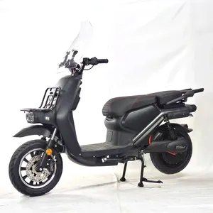 Fábrica OEM/ODM Motocicletas Scooters para adultos súper larga resistencia segura y confiable Vehículo eléctrico todoterreno