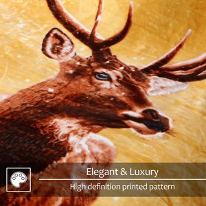 Bán Buôn Đôi Dày Chunky Mềm Giường Sofa Thổ Nhĩ Kỳ Chăn Tùy Chỉnh Ấm Sang Trọng Nặng Raschel Chăn Cho Mùa Đông Nữ Hoàng Kích Thước - Product Image 4