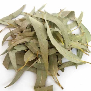 Feuilles d'<span class=keywords><strong>eucalyptus</strong></span> séchées de qualité supérieure, <span class=keywords><strong>tisane</strong></span> naturelle pour le soutien respiratoire, aromathérapie, vente en gros - Product Image 3