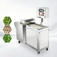 Automatische industriële groente- en fruit snijmachine motor aangedreven 304 roestvrijstalen rotatiemes voor commerciële voedselverwerking