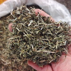 Ba Xian Cao 100% Natural de Alta Calidad, Hierbas Secas de Cleavers/Zhu Yang Yang - Product Image 2
