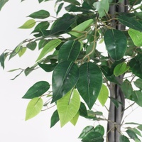 Offre Spéciale en plastique simulation maison artificielle bonsaï planter des arbres réel Tactile ficus en pot en plastique 5789