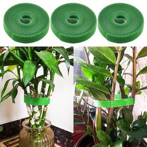 Correas para Plantas de Jardín, Velcro Termosellado Reutilizable, Sin Daños, para Escalar y Fijar Plantas - Product Image 3