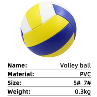 Volley-ball en PVC moins cher adapté au divertissement et à la promotion, divers jouets de styles La balle de volley-ball gonflable peut être douanière