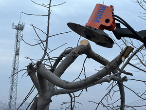 Tête de scie <span class=keywords><strong>à</strong></span> <span class=keywords><strong>bois</strong></span> WeMax SH600 pour machine <span class=keywords><strong>à</strong></span> couper les arbres, pour excavatrice de 3 <span class=keywords><strong>à</strong></span> 8 tonnes, tête de scie latérale, diamètre de coupe maximal de 180 mm - Product Image 3