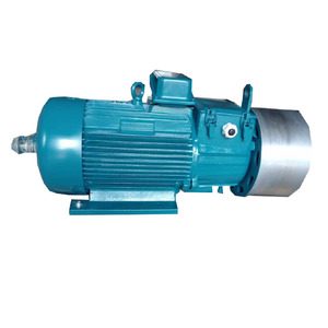 Motor de Anillo para Grúa Trifásico de 380V CA Serie YZR con Eficiencia IE3 y Carcasa de Hierro Fundido - Product Image 6