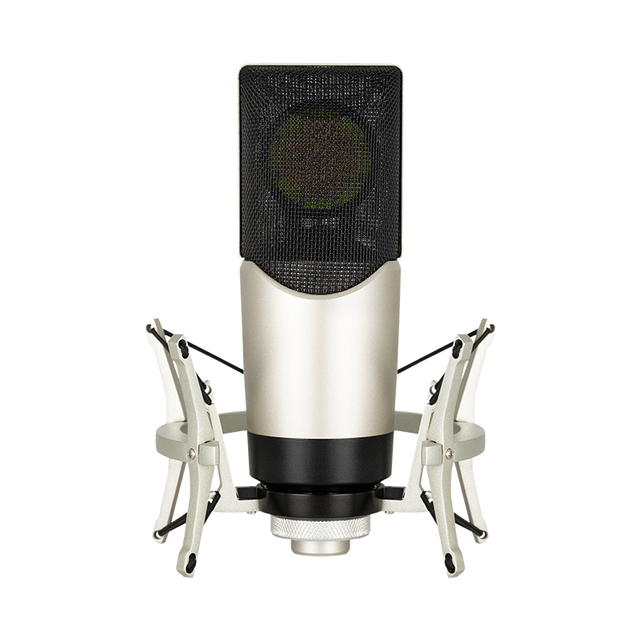 ZX80 48V XLR Condenser Microphone with a 2-meter XLR Cable, Ideal for Studio Recording and Live Podcasting.