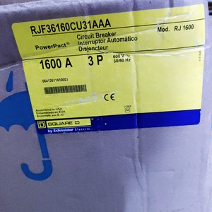 DSQUARED RJ1600 3P RJF36160CU31AAA - Product Image 5